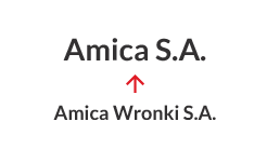 2016 - Promjena naziva tvrtke iz Amica Wronki S.A. u Amica S.A.